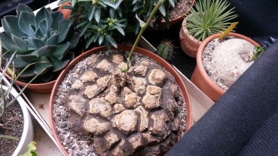 20150502_164653.jpg