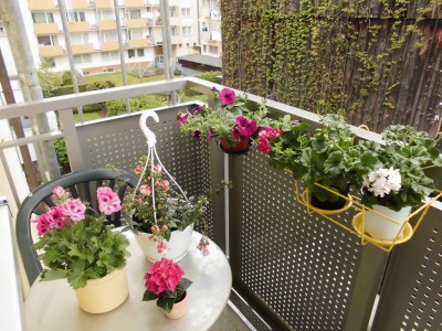 neu balkon.jpg
