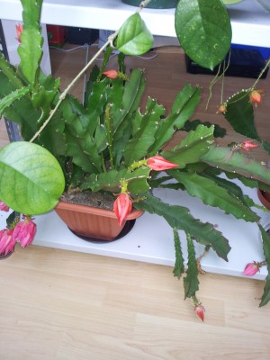 20150503_113626.jpg
