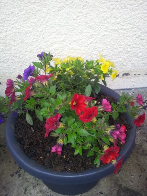 20150503_153417.jpg