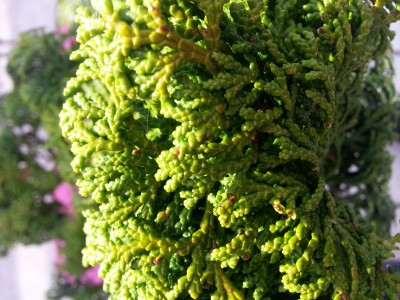 20150503_193309.jpg