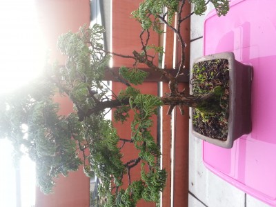 20150503_193240.jpg