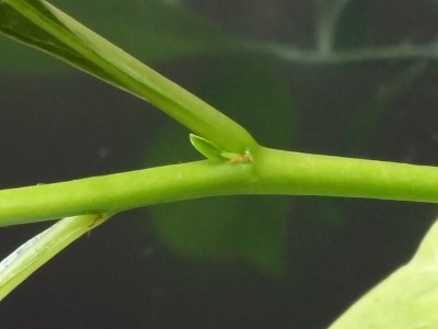 20150505_114819.jpg