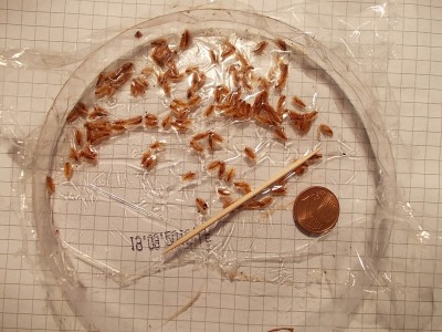 DSCN2529.JPG