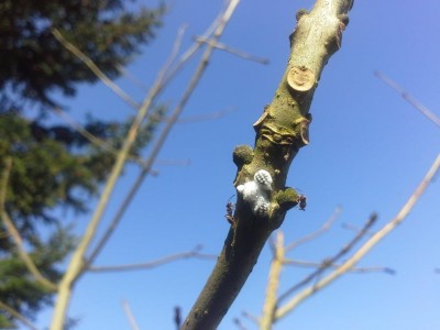 20150506_073928.jpg