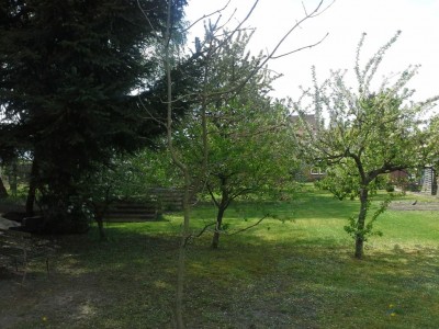 20150506_142154.jpg