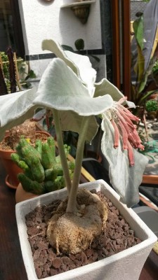 2015-05-06_1.jpg