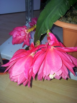 20150507_175409.jpg