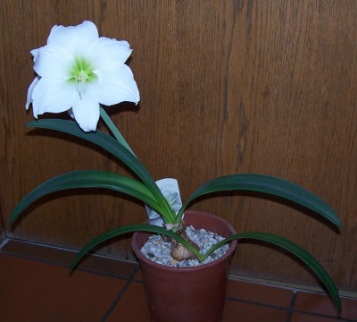 2015-05-07 001.jpg