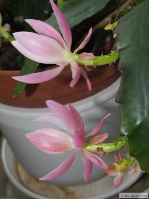 20150509_02.JPG