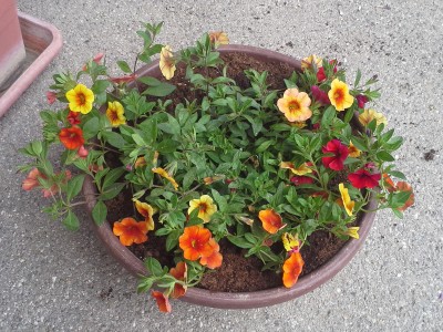20150510_123915.jpg