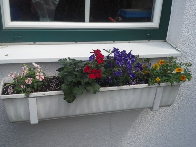 20150510_124006.jpg