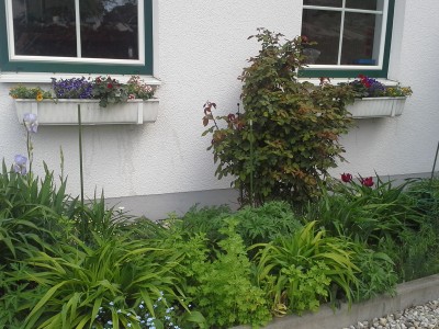 20150510_124032.jpg