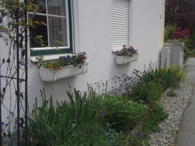 20150510_124011.jpg