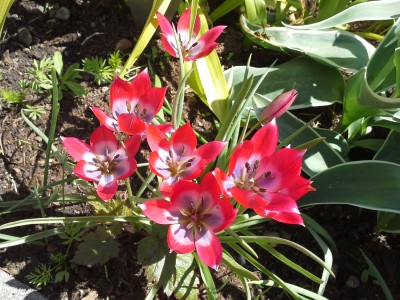 20150424_133356.jpg