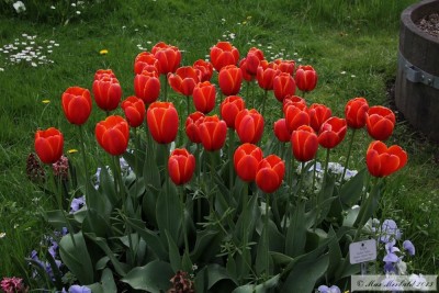 20150504_01a.JPG