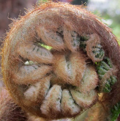 2015-05-02 16.36.27.jpg