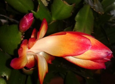 20150511_194202.jpg