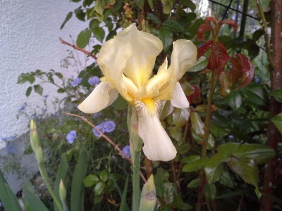 20150513_184825.jpg
