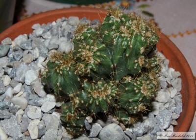 20150516_24.JPG