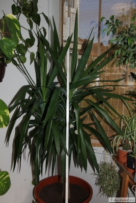 20150516_26.JPG