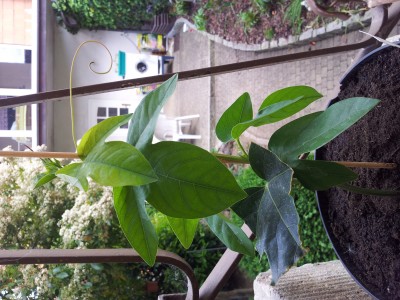 20150517_155840.jpg