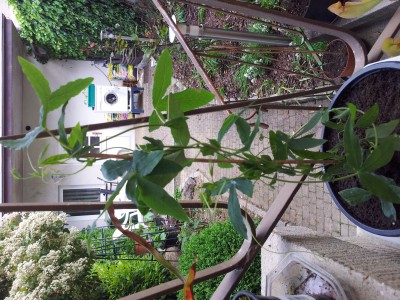 20150517_155901.jpg