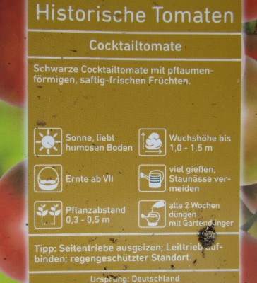 2015-05-17 11.44.16.jpg