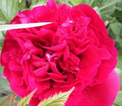 2015-05-17 11.21.03.jpg