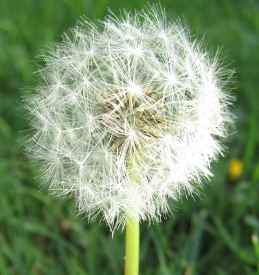 2015-05-10 18.19.18.jpg