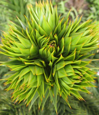 2015-05-02 16.46.04.jpg