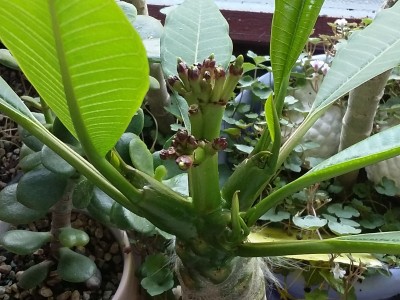 20150518_101557.jpg