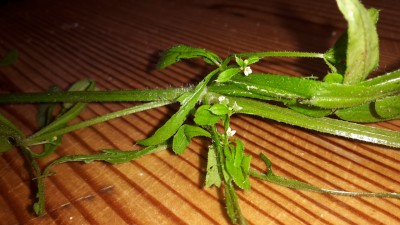 20150519_125102.jpg