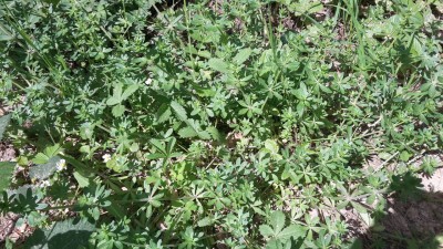 20150519_160829.jpg
