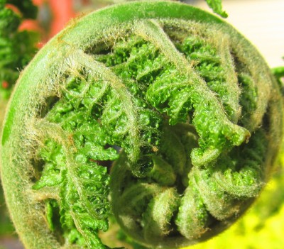 2015-05-10 18.14.38.jpg