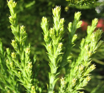 2015-05-10 18.24.41.jpg