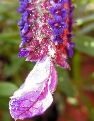 2015-05-20 17.49.13.jpg