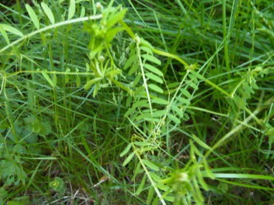 IMG00044-20150522-2024.jpg