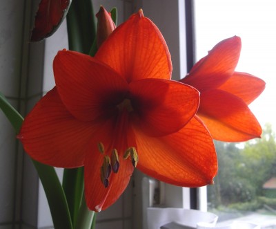 Bild 238.jpg