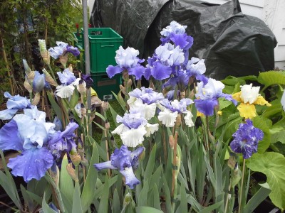 20150522_112643.jpg