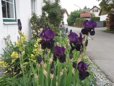 20150522_120547.jpg