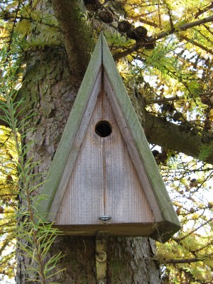 IMG_3189 Blaumeisenhotel.JPG