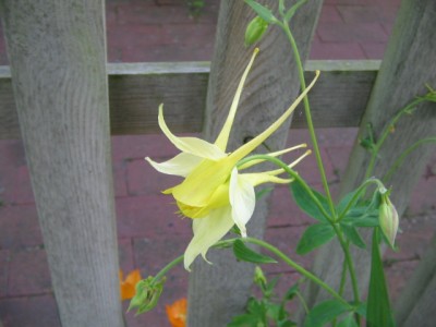 Juni 2013 02 007.JPG