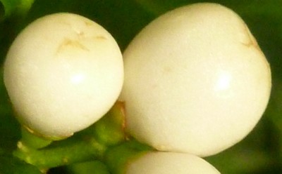 Raetsel2015051.jpg