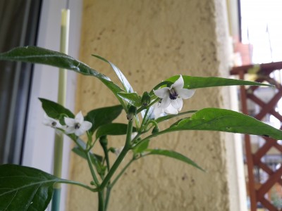 20140914_115143.jpg