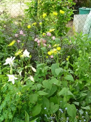 20150525 035.JPG
