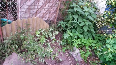 20150525_195816.jpg