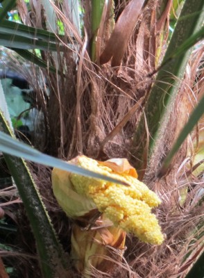 2015-05-26 16.28.44.jpg