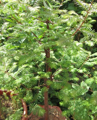 2015-05-26 16.30.43.jpg