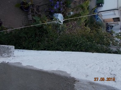 DSCN0994.JPG